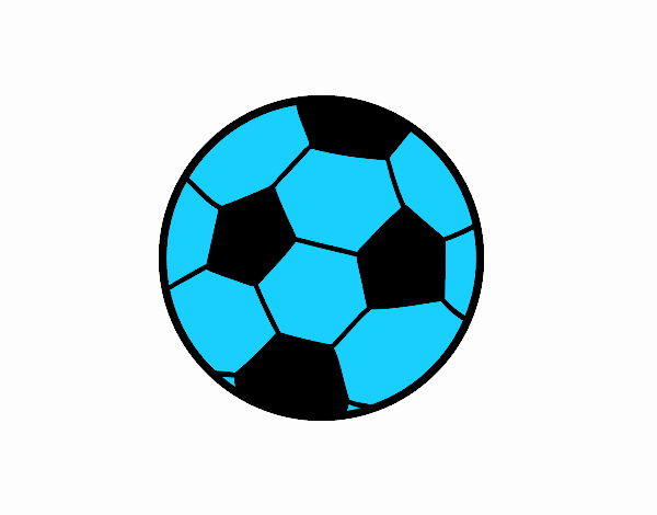 Una palla di calcio
