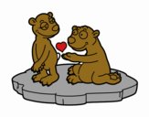 Coppia di orsi innamorati