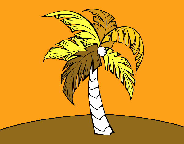 Una palme