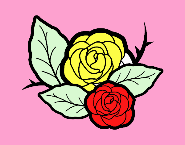 Due rose