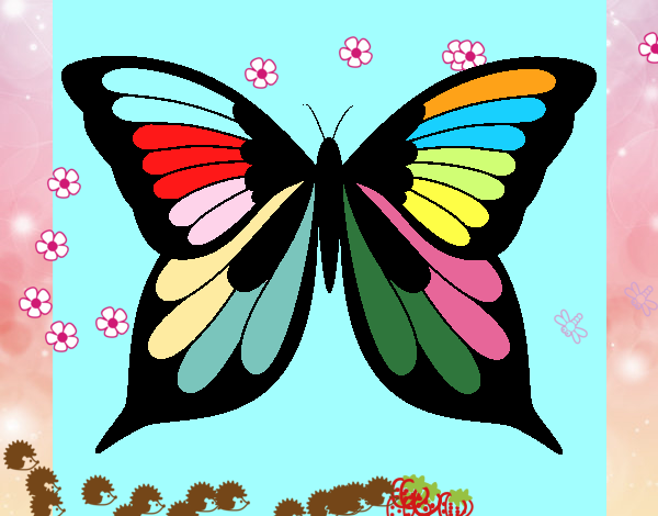 Farfalla 19