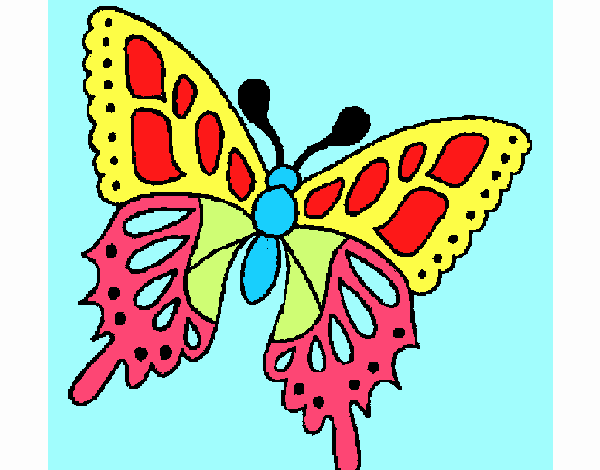 Farfalla 2a