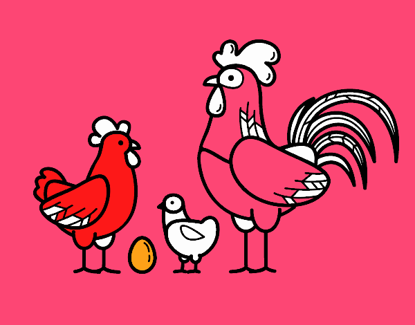 Famiglia gallina