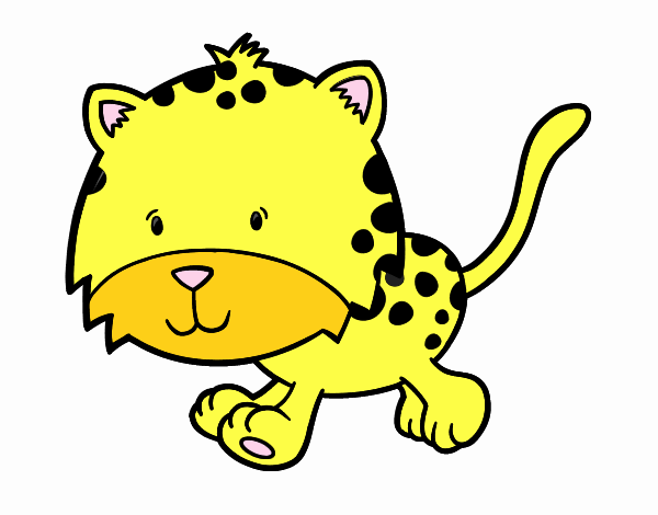 Un cucciolo di ghepardo in corsa