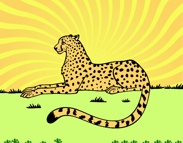 disegno ghepardo riposo colorato da utente non registrato il 18 di luglio del 2019 mandala con animali colorare maschere e stampare