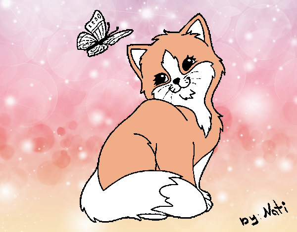 Gattino e Farfalla