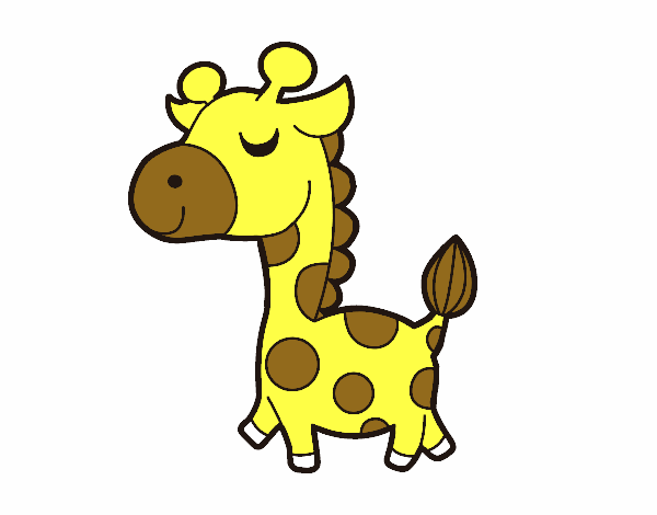 Giraffa vanitosa