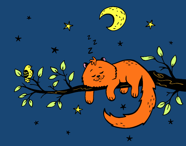 Il gato e la luna