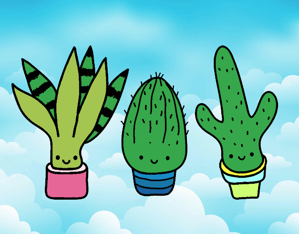 cactus fra le nuvole