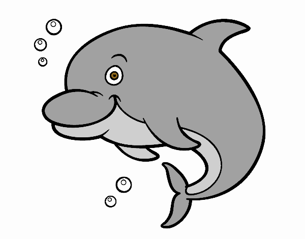 Delfino delle Amazzoni