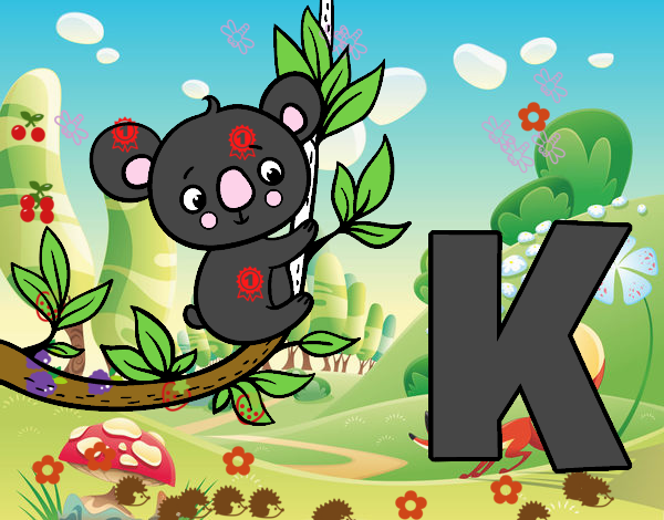 K di Koala