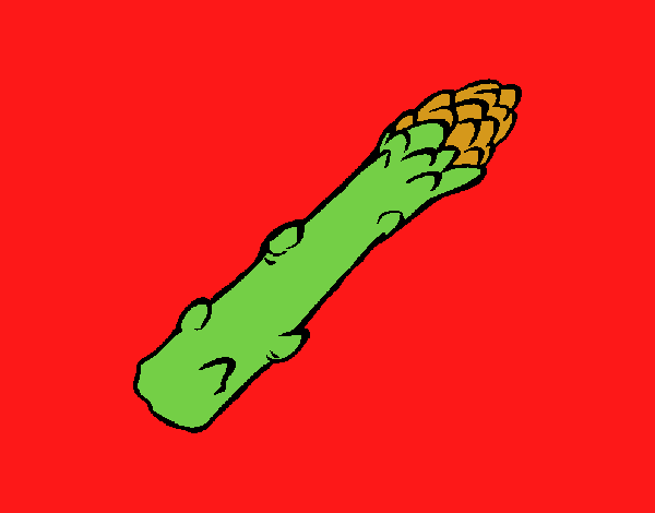 asparago 