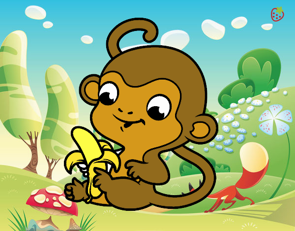 Scimmia con banana