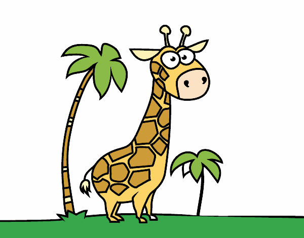 La giraffa africana