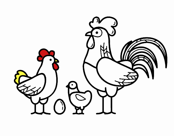 Famiglia gallina
