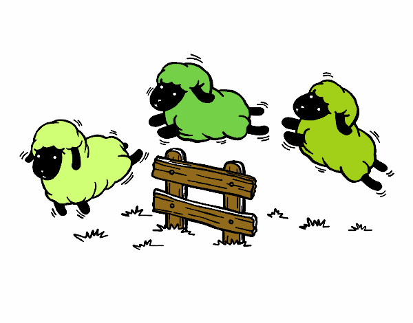 Contare le pecore