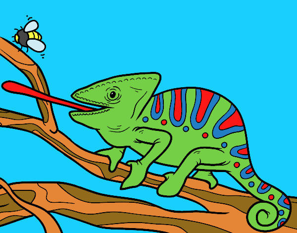 Un camaleonte con la lingua fuori