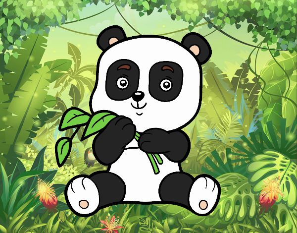 Il panda di Benedetto 