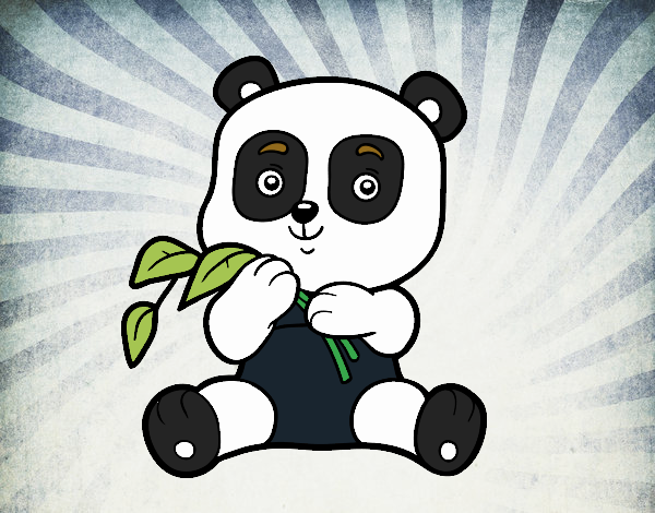 Un orso panda