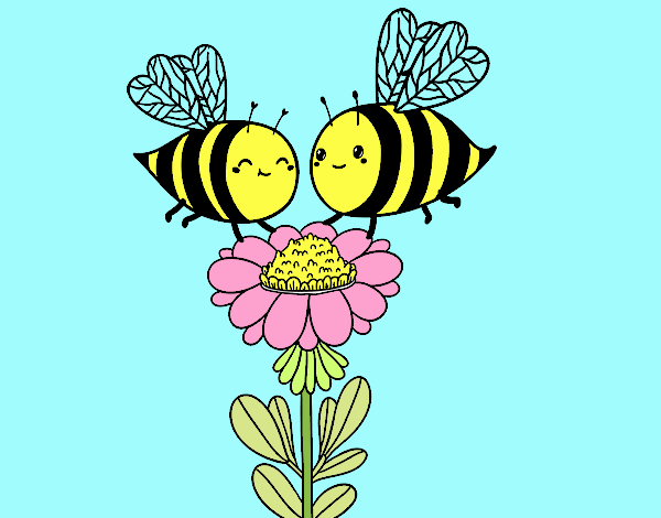 due api amiche