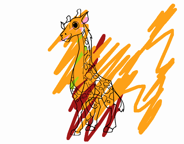 Giraffa femminile