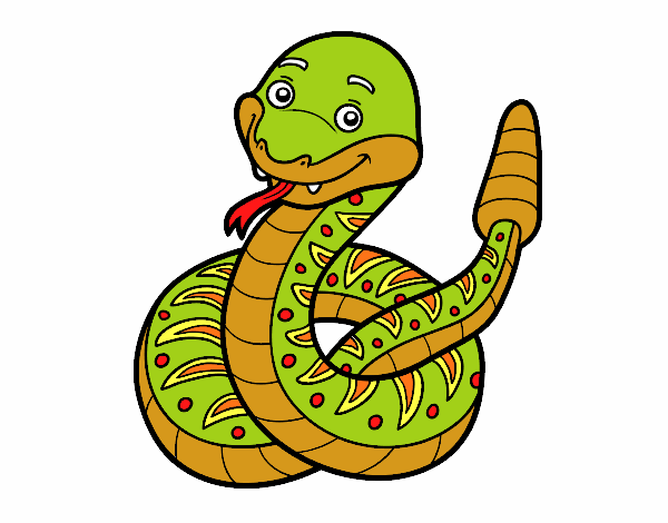 il bel serpente