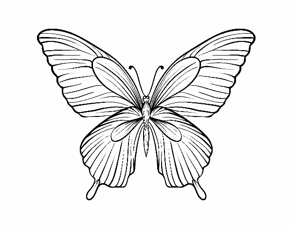 la farfalla
