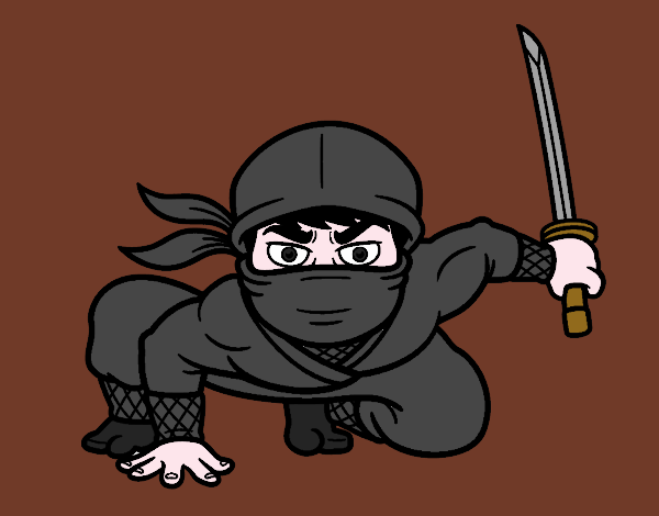 Ninja giapponese
