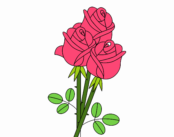 Un mazzo di rose