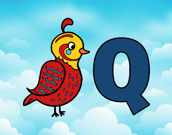 Q di Quetzal