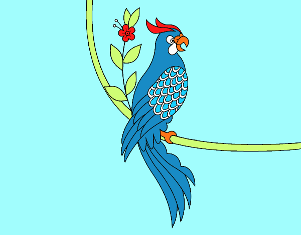 Tatuaggio di pappagallo