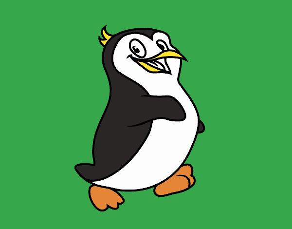 Un pinguino antartico