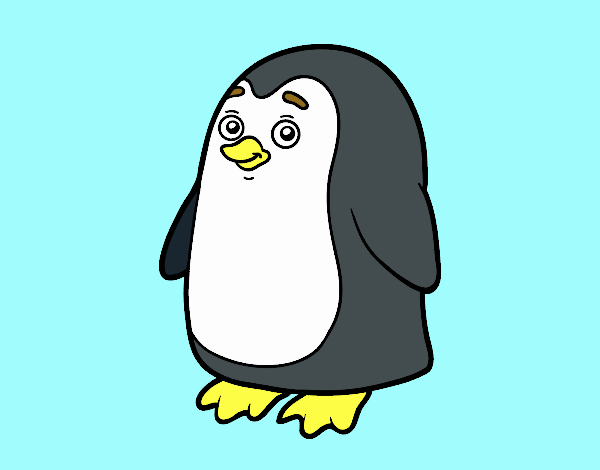 Pinguino antartico
