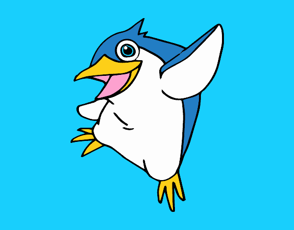Pinguino minore blu