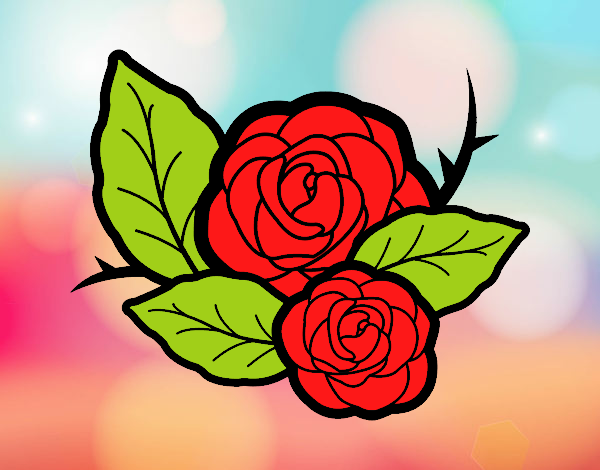 Due rose
