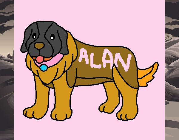 Alan,il mio cagnone