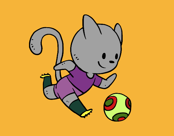 Gatto calcio