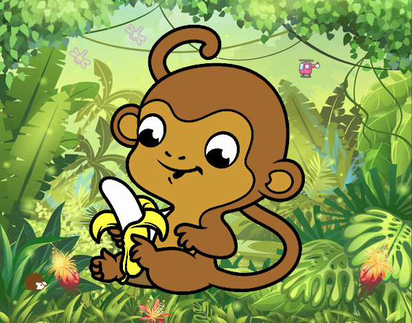 Scimmia con banana