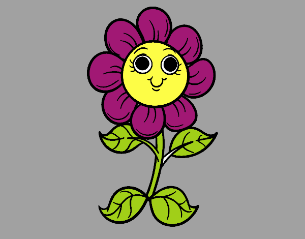 Un piccolo fiore