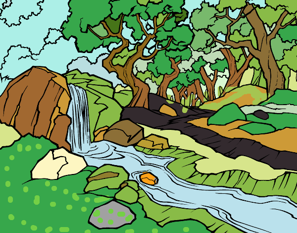 foresta con fiume