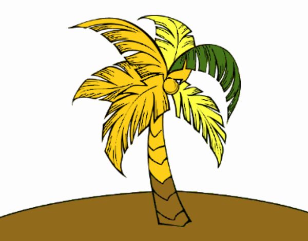 Una palme