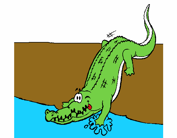 Alligatore che entra nell'acqua 