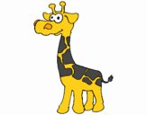 Giraffa  3