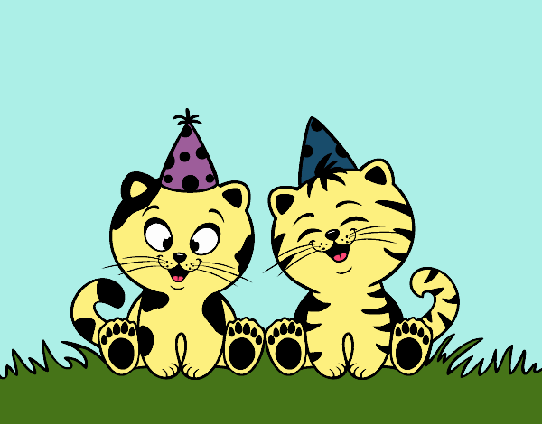 gattini festeggiosi