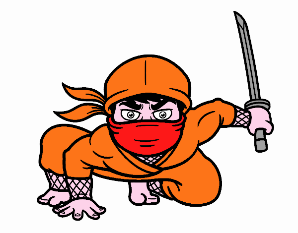 ninja giapponese