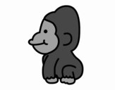 Gorilla bebè