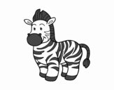 La  zebra