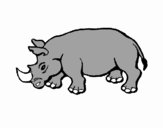 Rinoceronte  2