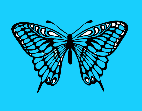 Farfalla grande mormone