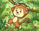 Scimmia che pende da un ramo